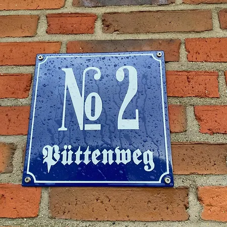 Ockenswarft - Austernfischer *