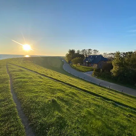 Ockenswarft - Austernfischer Nordstrand